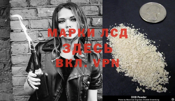 ГАЛЛЮЦИНОГЕННЫЕ ГРИБЫ Балахна