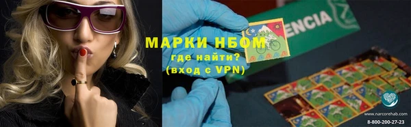 ГАЛЛЮЦИНОГЕННЫЕ ГРИБЫ Балахна