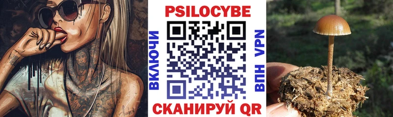 купить наркоту  Уяр  KRAKEN как войти  Галлюциногенные грибы Magic Shrooms 